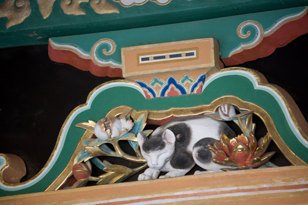 sleeping cat in Nikko Toushougu