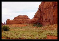 sleeping dog - Grand Canyon