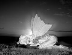 Sleeping Fairy