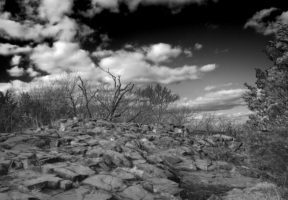 Sleeping Giant State Park