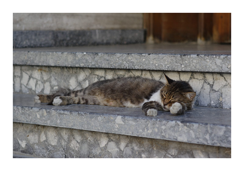 Sleeping in the Shadow