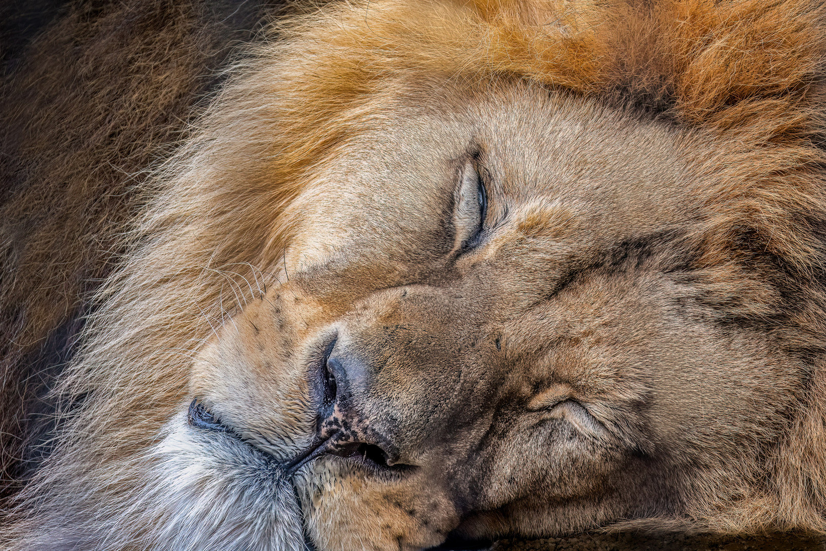 Sleeping King - Der schlafende König