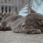 Sleeping on the car