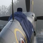 sleeping Spitfire