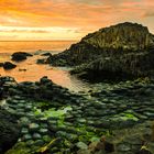 Sleeping Sun at Giant`s Causeway