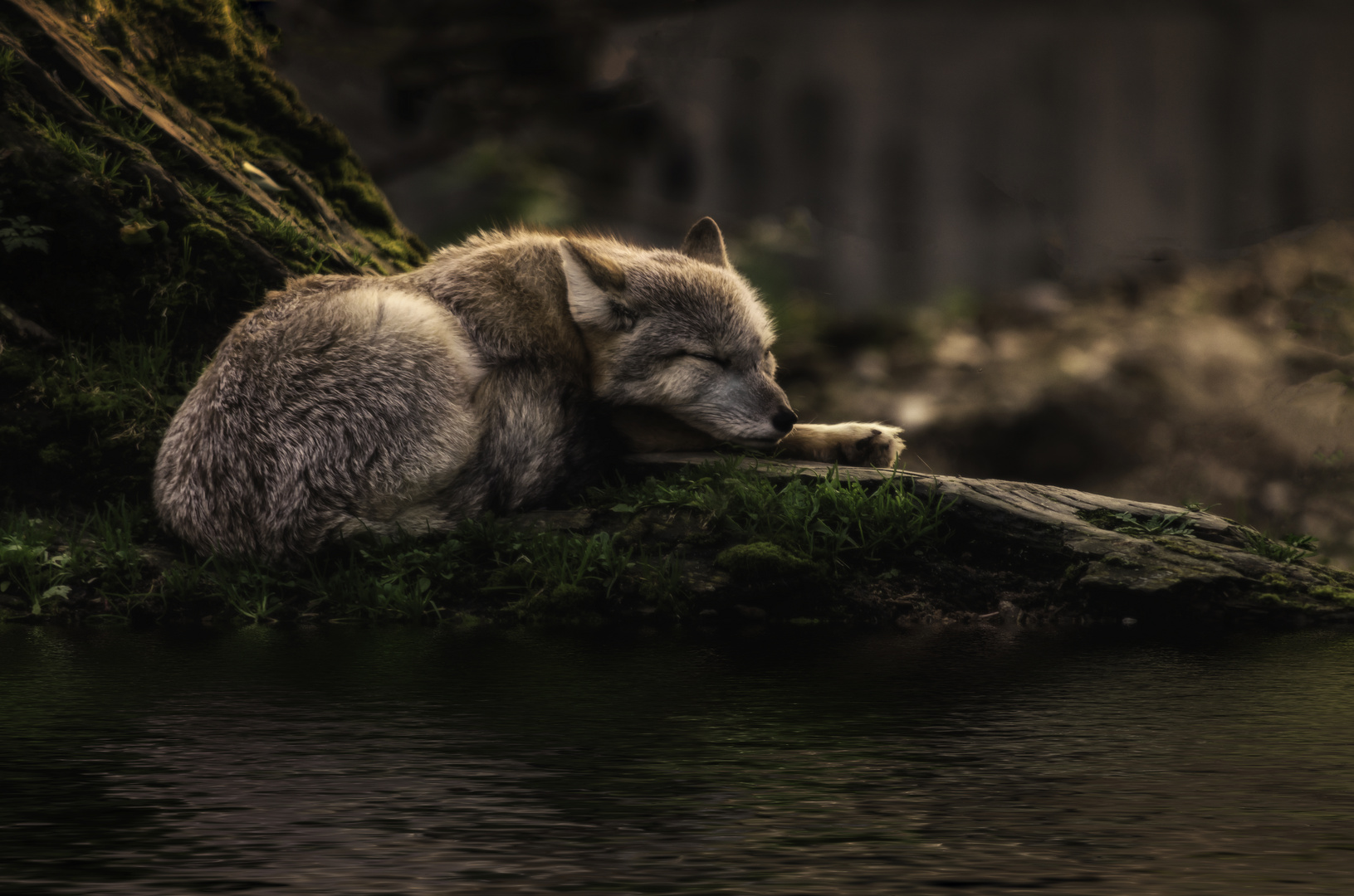 sleeping where the waters flow