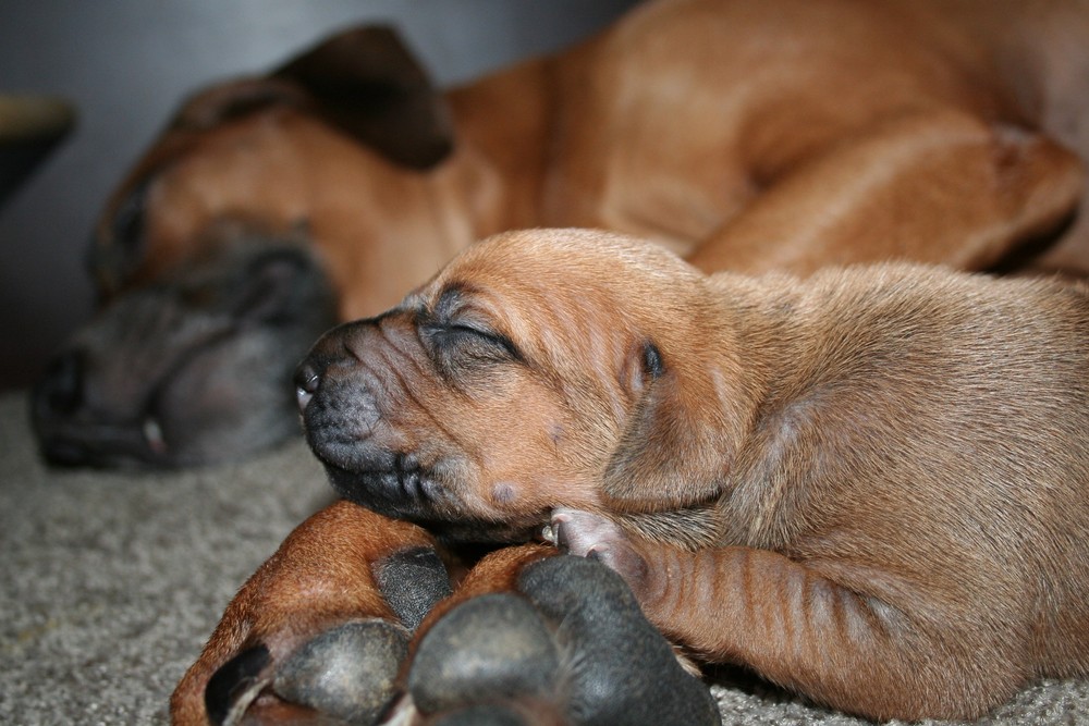 Sleeping with mama