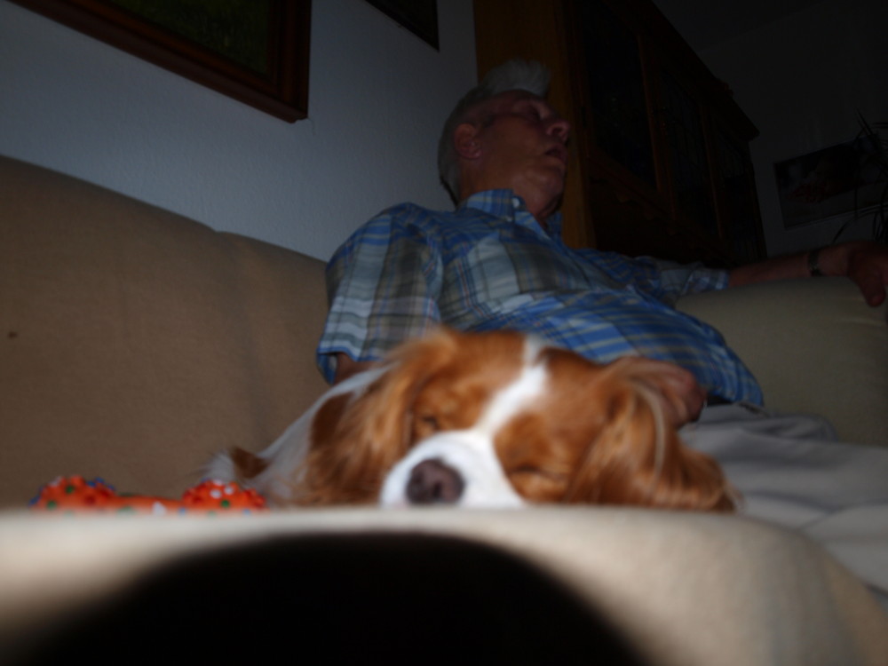 Sleepy dog and owner 2