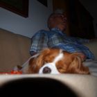 Sleepy dog and owner 2