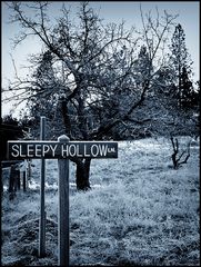 Sleepy Hollow Lane