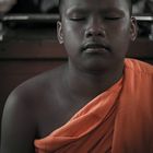 Sleepy little Monk