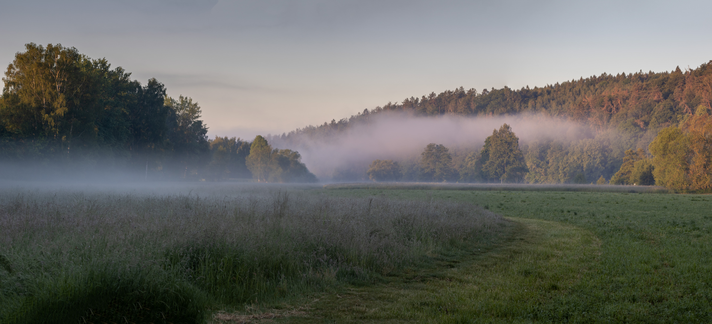 sleepy meadows