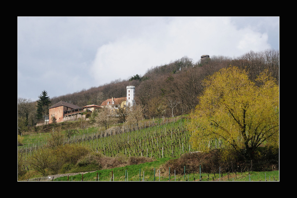 Slevogt Hof bei Leinsweiler in der Pfalz