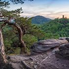 Slevogt Trifels Pano