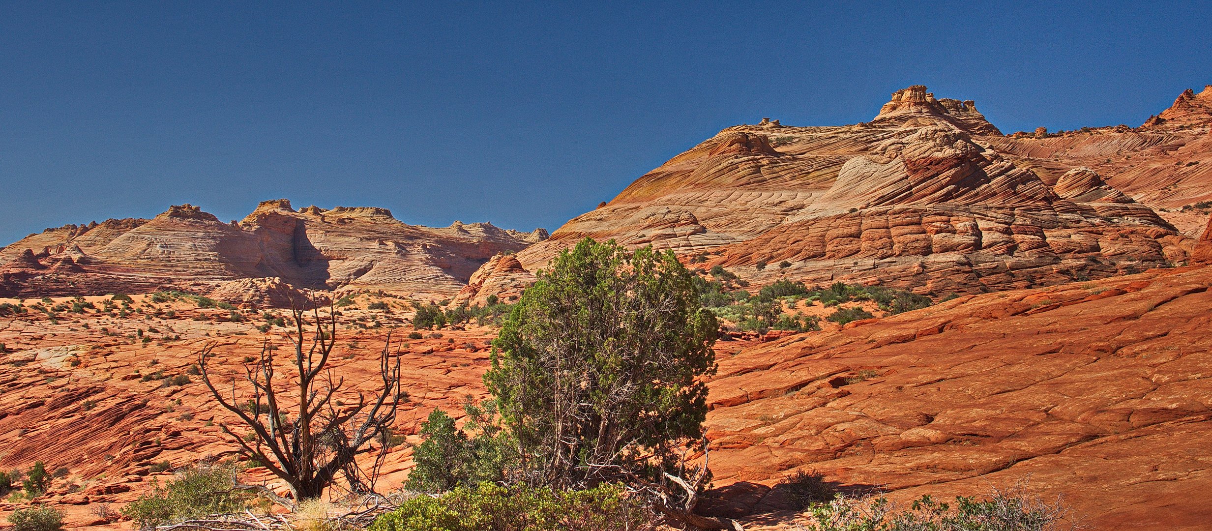 slick rock walk Foto & Bild north america, united states, landschaft