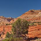 slick rock walk