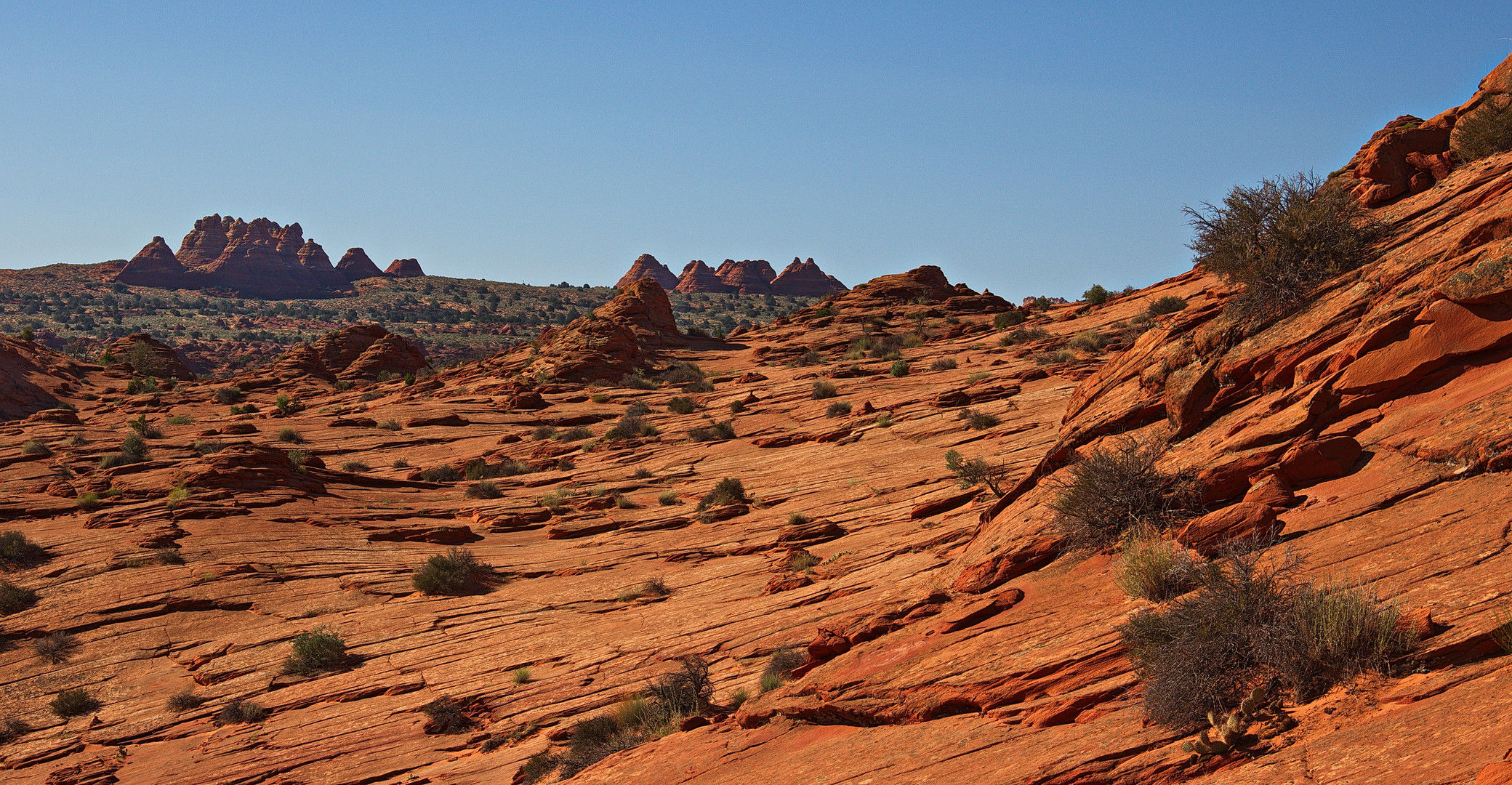 slick rocks