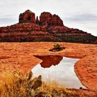 Slickrock Sedona