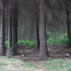 Slieve Foye Park Louth Ireland