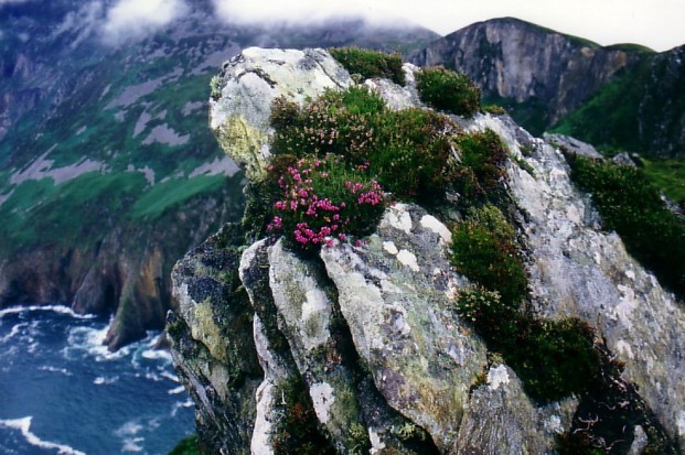 Slieve League in Donegal 1