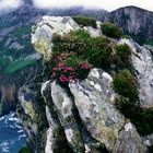 Slieve League in Donegal 1