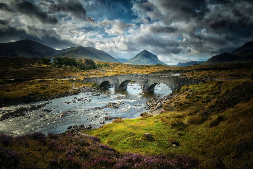 Bridge Lernen App Bridge Lernen App