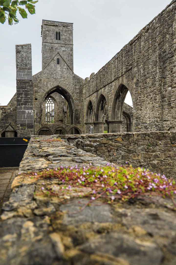 Sligo Abbey 1