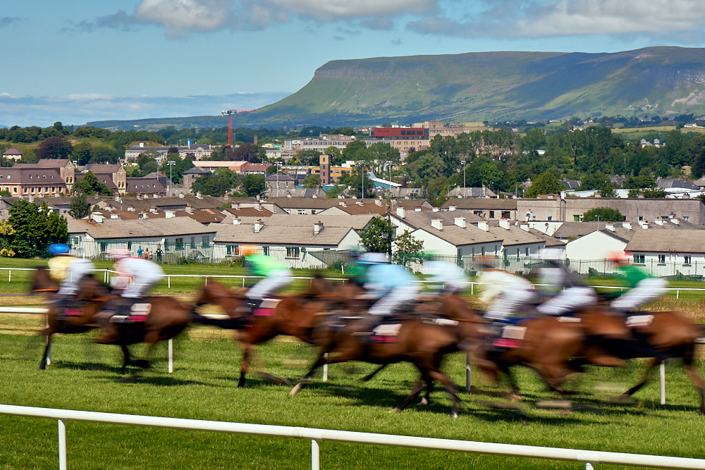 Sligo - At the Races 