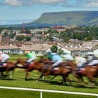 Sligo - At the Races 