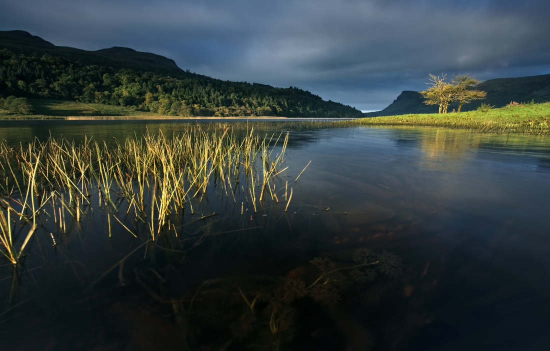 Sligo (Ireland)