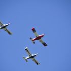 Sling im Formationsflug In Ballenstedt/Harz