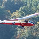 Slingsby T21 B