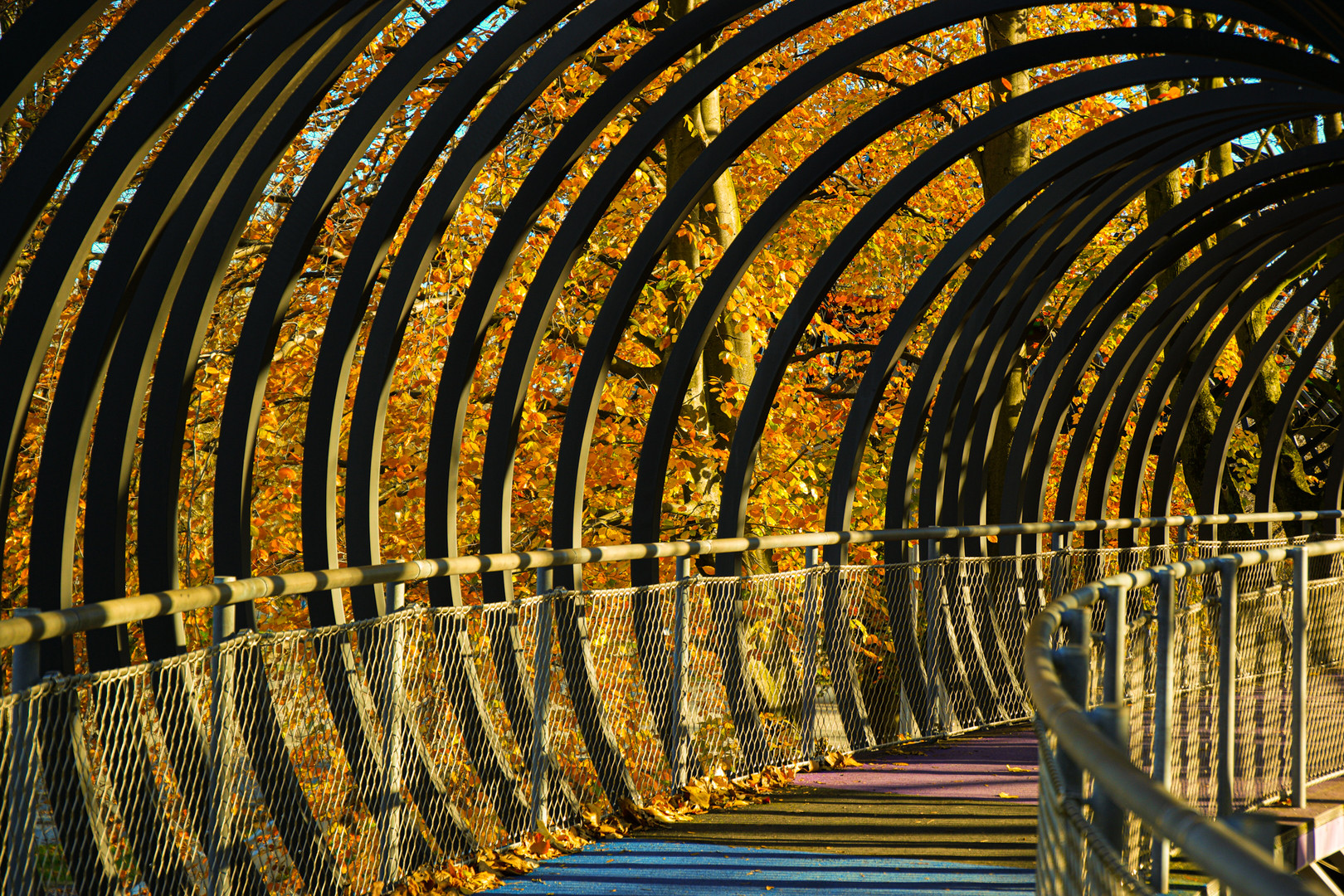 Slinky springs to fame, Rehberger Brücke