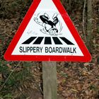 Slippery Boardwalk