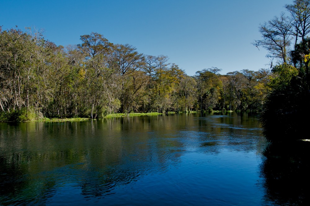 Sliver Springs State Park, Florida