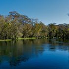 Sliver Springs State Park, Florida