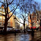 Sloane Square Winter Sunshine