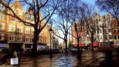 Sloane Square Winter Sunshine