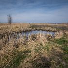 Slochteren - 't Roegwold - Dannemeer - 13