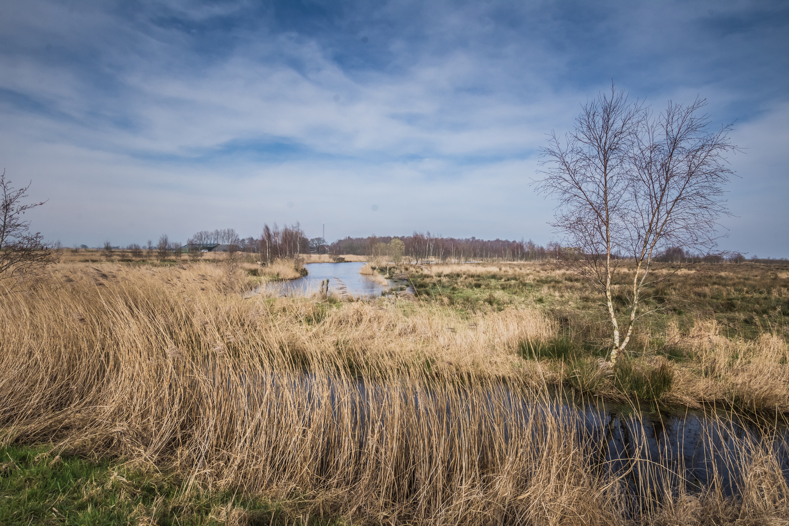 Slochteren - 't Roegwold - Slochterdiep - 29