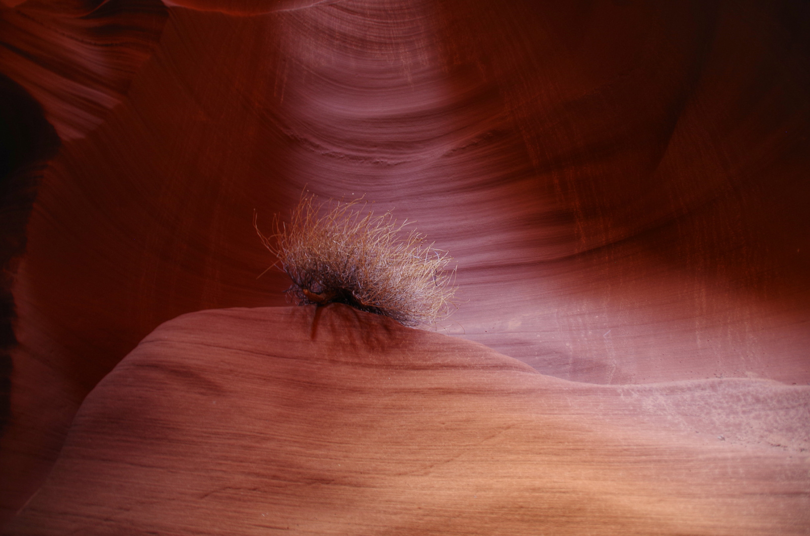 Slot Canyon 2