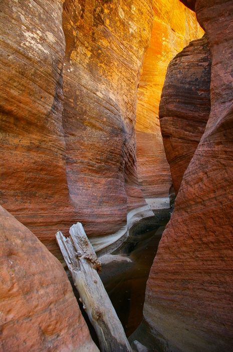 Slot Canyon Glow