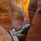 Slot Canyon Glow