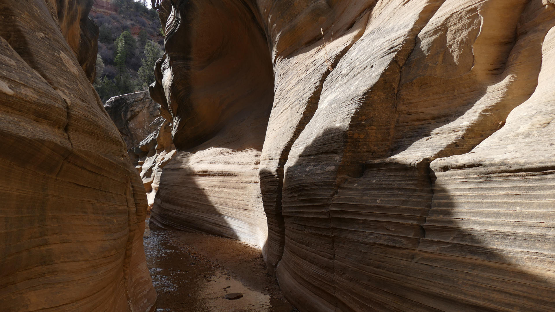 Slot im Willis Creek 