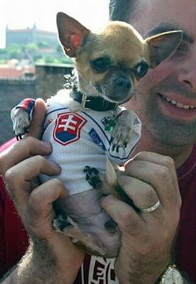 Slovak hund ;o)