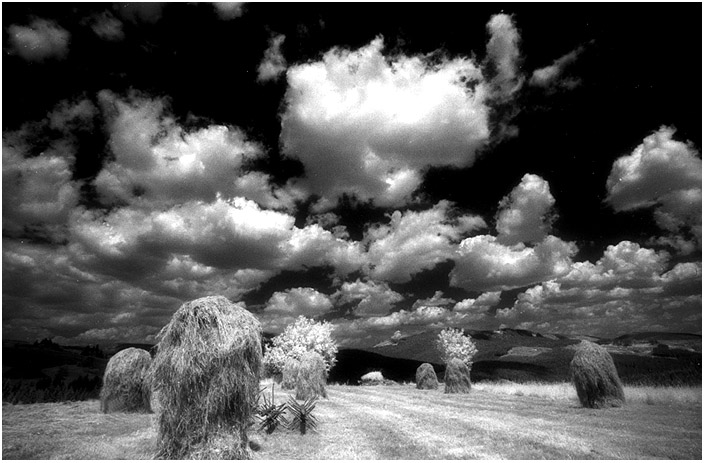 slovakia#5010 "Harvest in Slovakia"