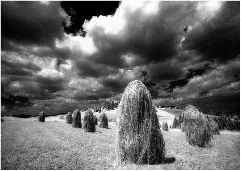 slovakia#5029 "my landscape"