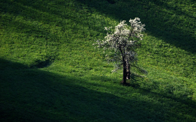 Slovene country 2