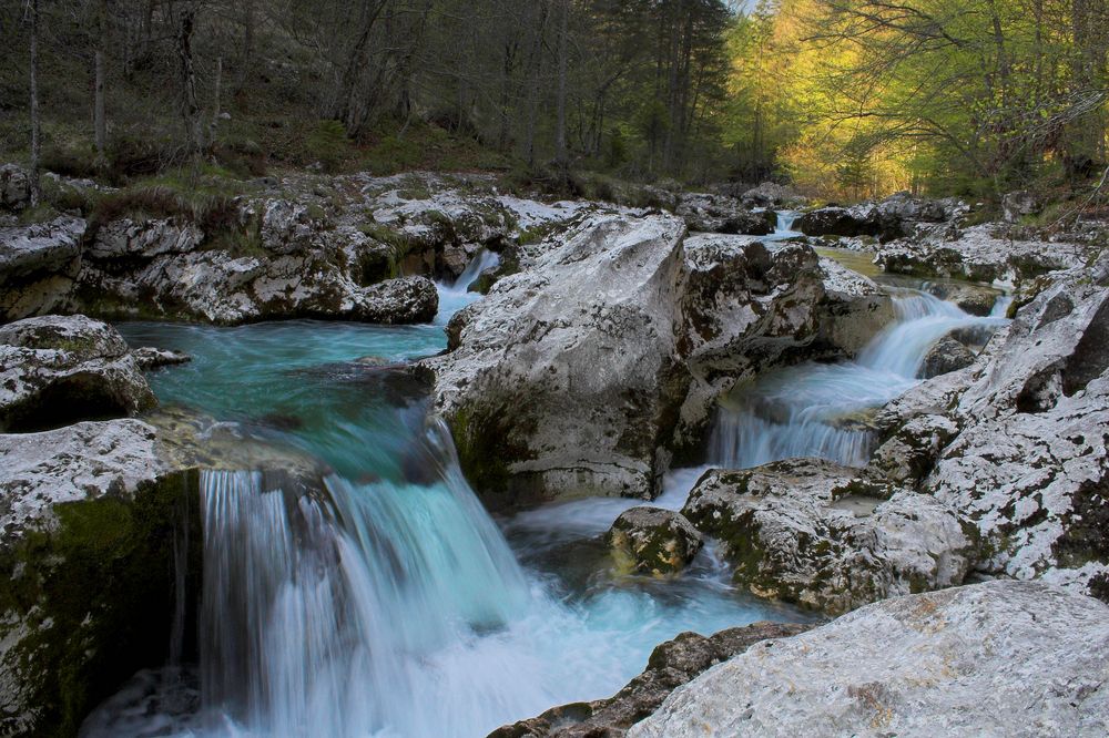 Slovenia von Joy Pictures 