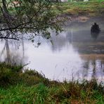 Slovenienherbst 4